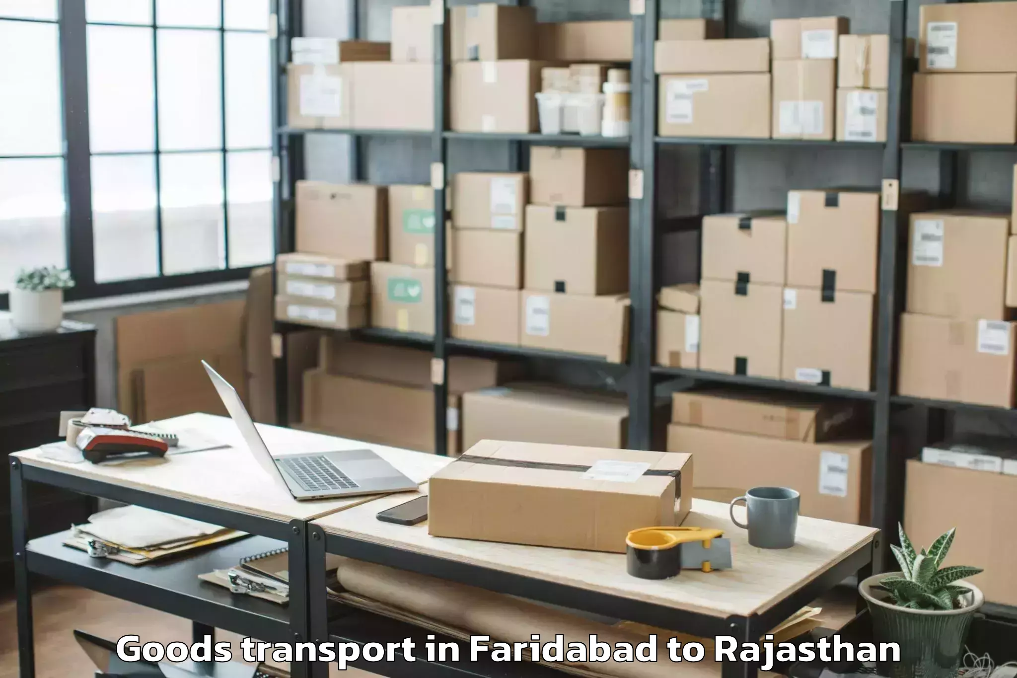 Expert Faridabad to Singhania University Jhunjhunu Goods Transport